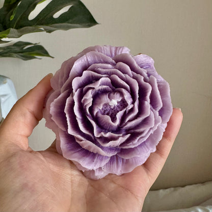Peonia GRANDE