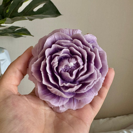 Peonia GRANDE