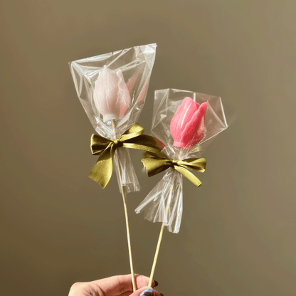 Tulipanes