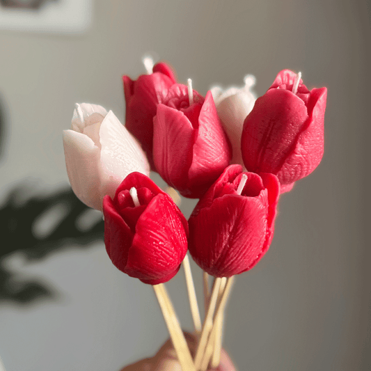 Tulipanes
